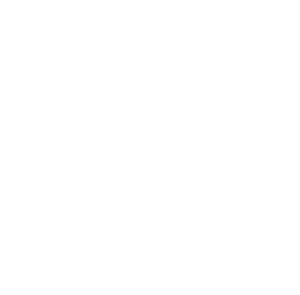 SF_Metro-300x295 SF_Metro